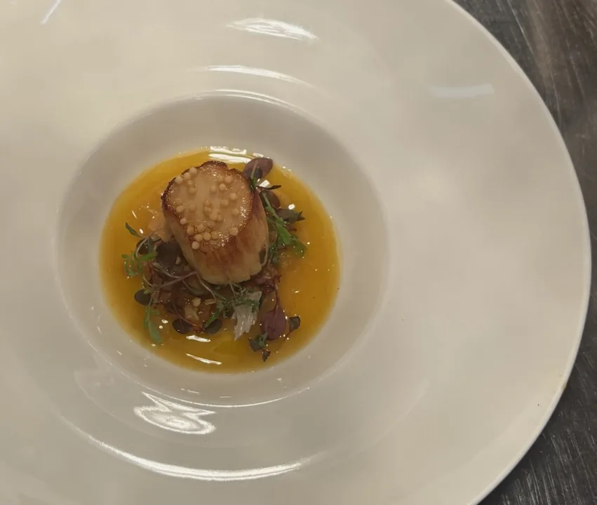 Scallops