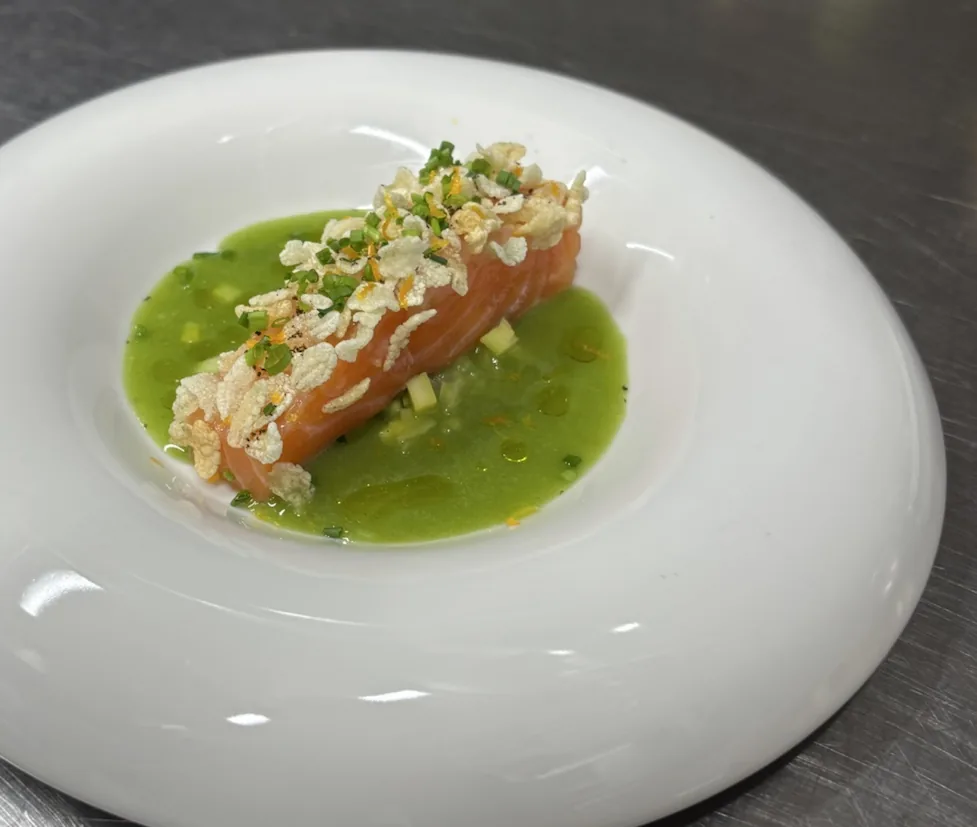 Salmon
