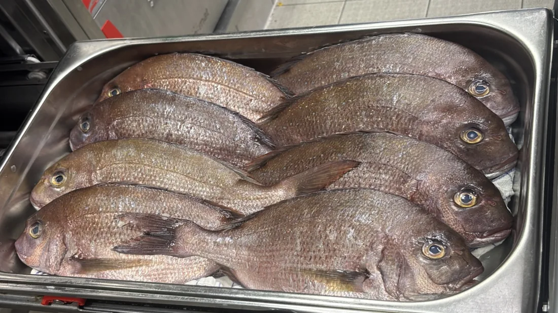 Sea bream mosaic