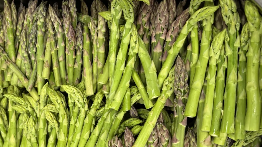 vegan