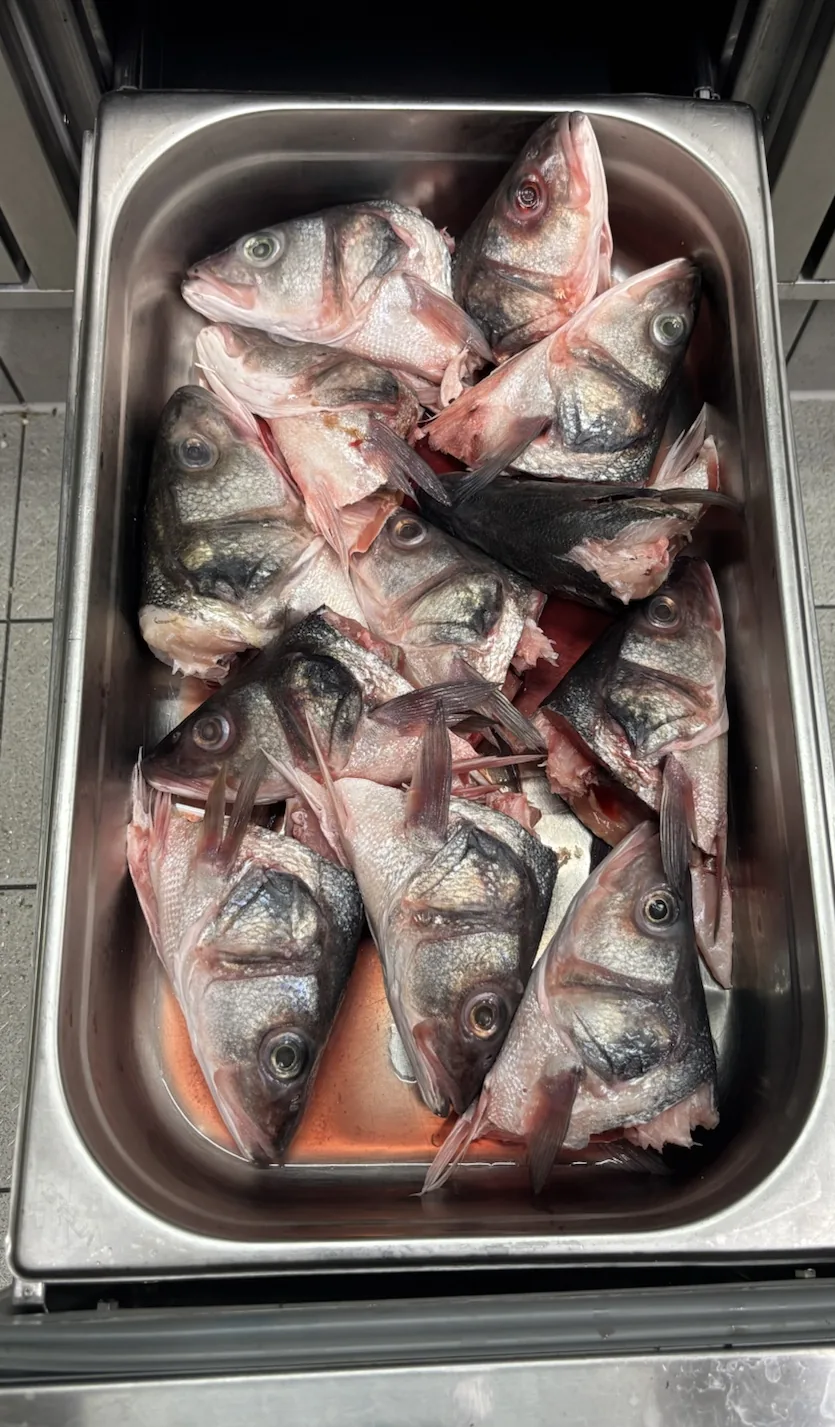 Sea Bass Head Terrine