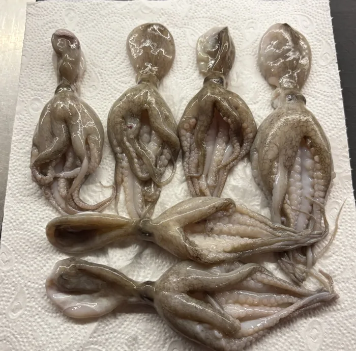 Impression from Emil’s kitchen